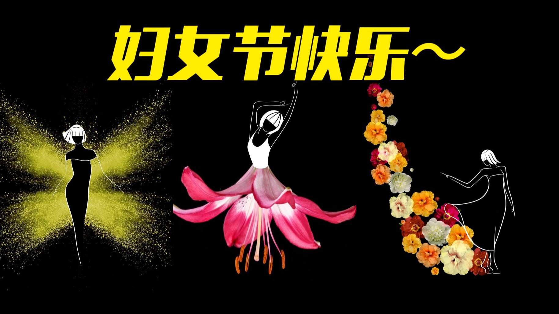 祝每一位闪闪发光的你 活出理想的模样！