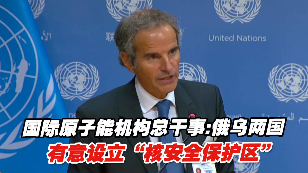 国际原子能机构总干事：俄乌两国有意设立“核安全保护区”