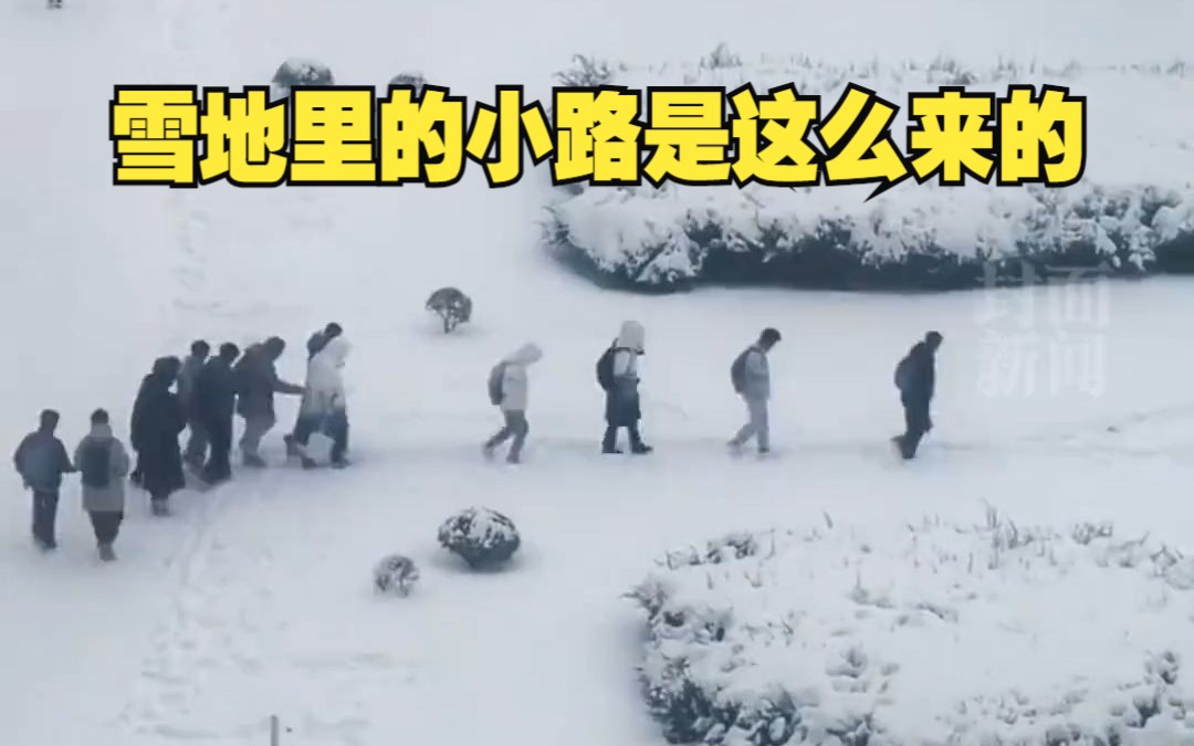东北雪地有人排头就会跟上一串人