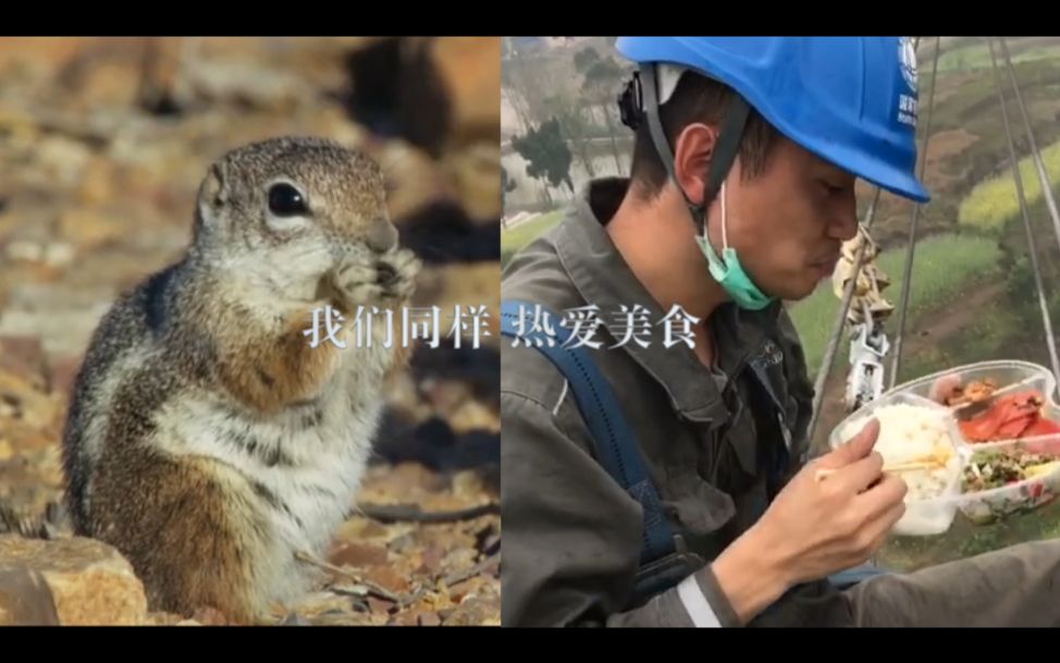 以生命之名 为地球发声