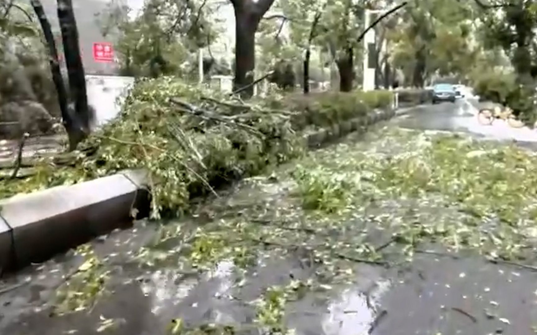 湖北多地遭冻雨：铁路接触网覆冰、大棚被压垮 当地提升应急响应