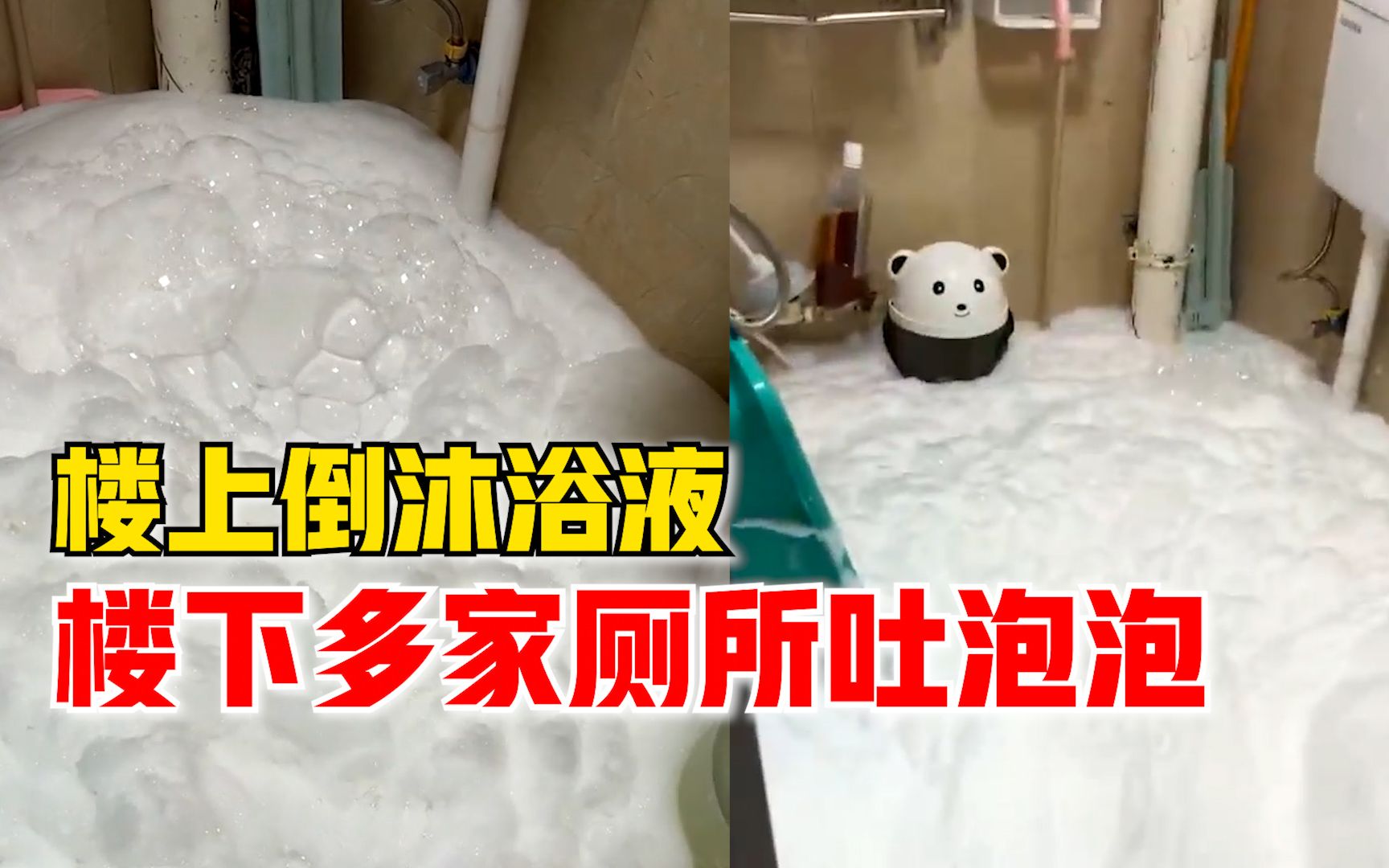 楼上倒沐浴液楼下多家厕所吐泡泡，邻居：一直在吐，拦都拦不住