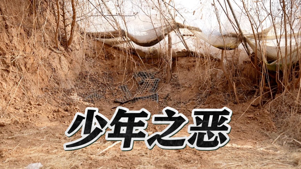 追踪邯郸初中生被杀案：校园欺凌的受害者为何总是沉默？