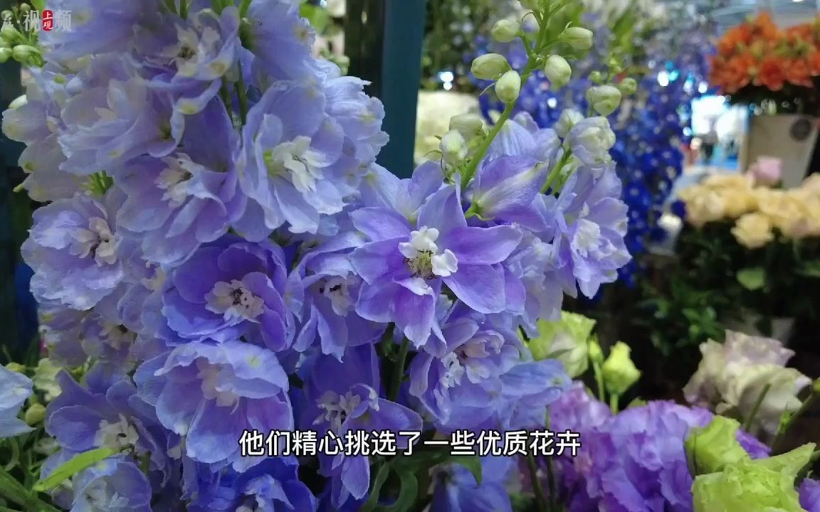 揭秘进博会食品馆最大展台：不只是美食，居然还有花香？