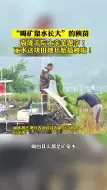“喝矿泉水长大”的秧苗！袁隆平院士亲笔题字！