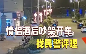 情侣酒后吵架开车找民警评理 一个被罚一个被拘