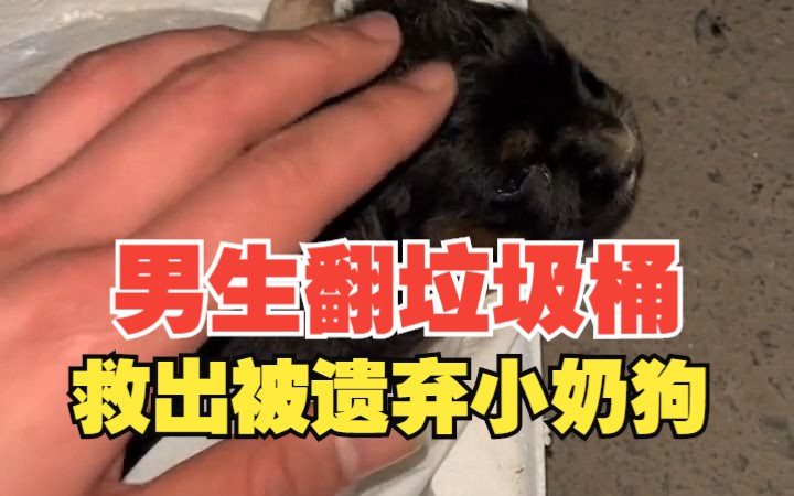男生翻垃圾桶救出被遗弃小奶狗