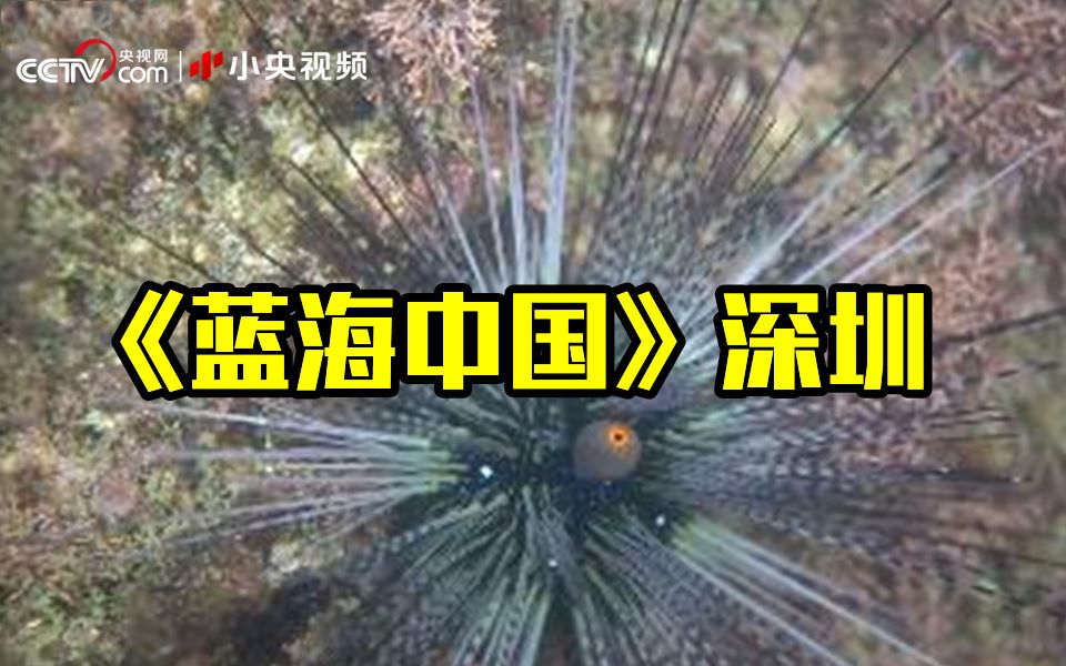 《蓝海中国》深圳｜大亚湾核电站水域的动物会受到辐射影响吗？