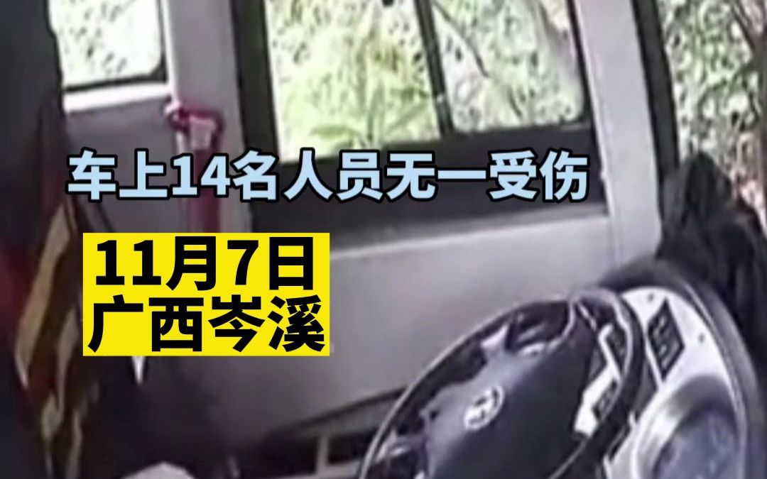 公交司机开车途中突发疾病，生命最后一刻踩下刹车。车上乘客无人受伤，司机抢救无效死亡