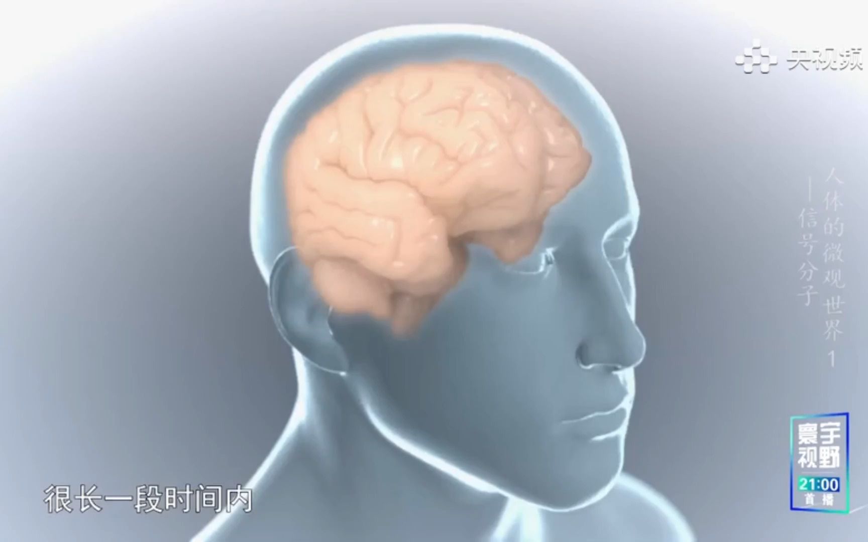 血压升高时心脏是怎么求救的