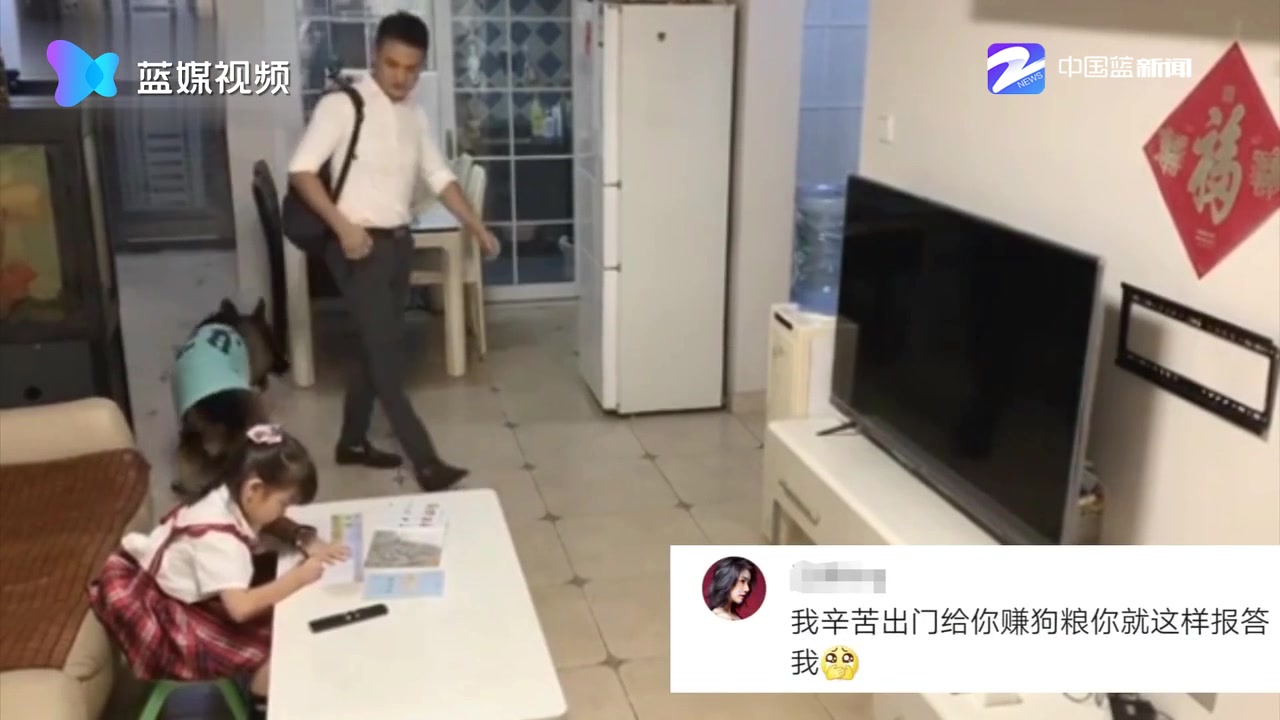 最佳拍档！狗狗帮看电视小主人打掩护