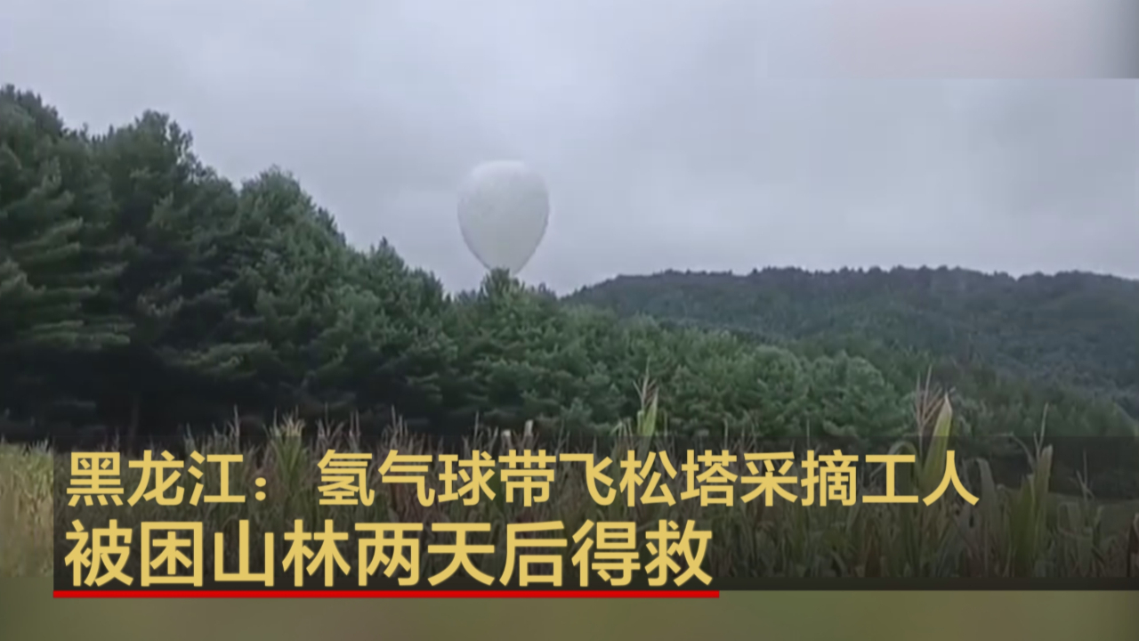 黑龙江：氢气球带飞松塔采摘工人 被困山林两天后得救