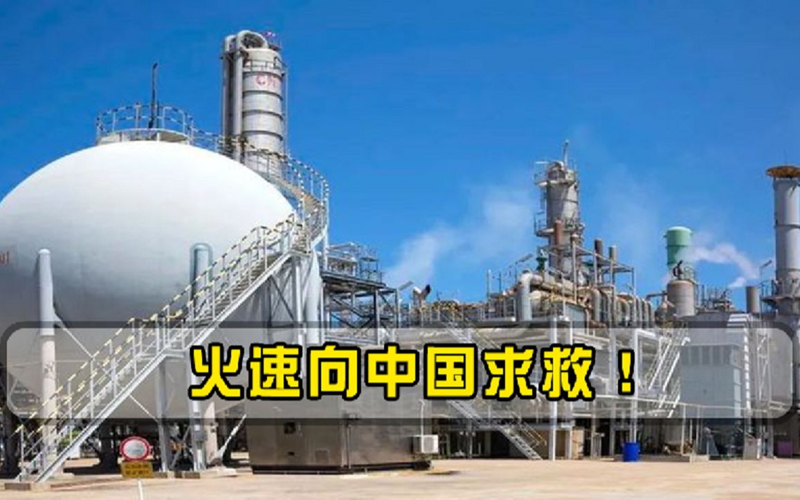 火速向中国求救！国内陷入重大危机，韩国如今彻底扛不住了
