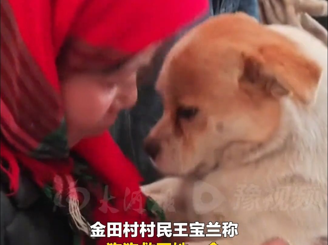 “它救了我的命”！地震来临前狗狗将村民带到安全地带