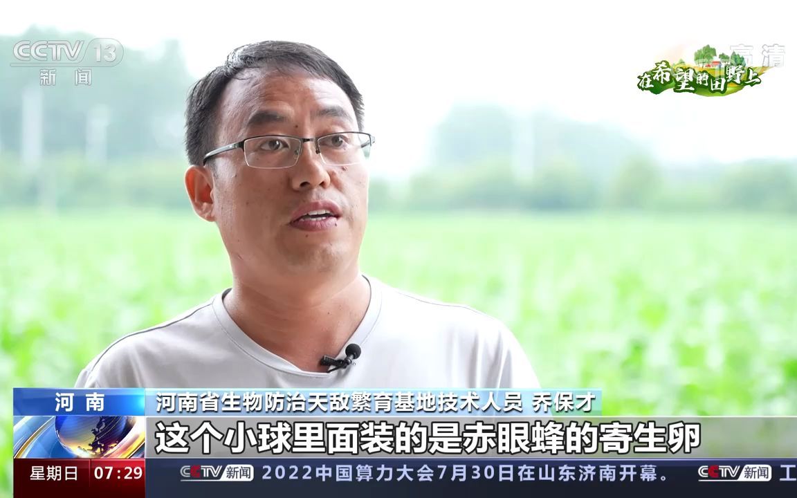 【在希望的田野上】多措并举防病虫害 精细夏管保丰收