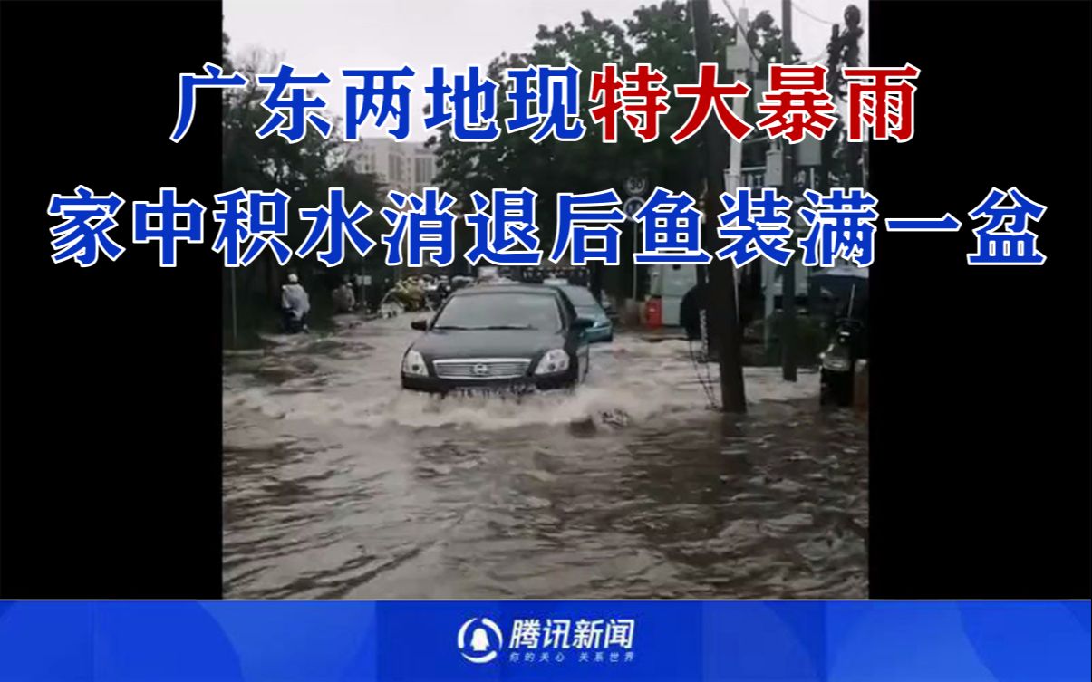 广东两地现特大暴雨：航拍佛冈洪水淹入村庄 家中积水消退后鱼装满一盆