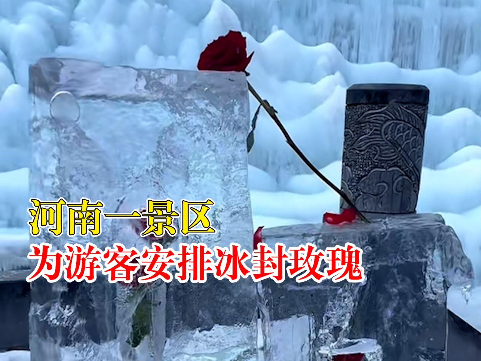 冰雪季的浪漫！河南一景区为游客安排冰封玫瑰