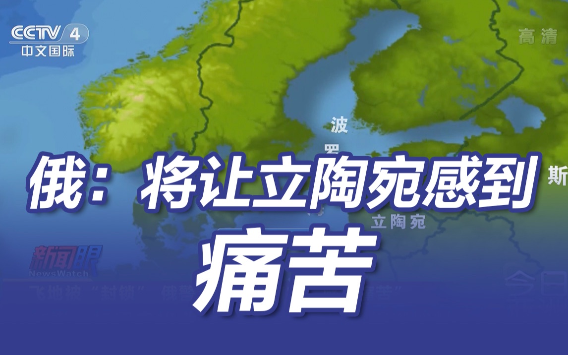 俄称将让立陶宛“感到痛苦” 立陶宛慌忙解释