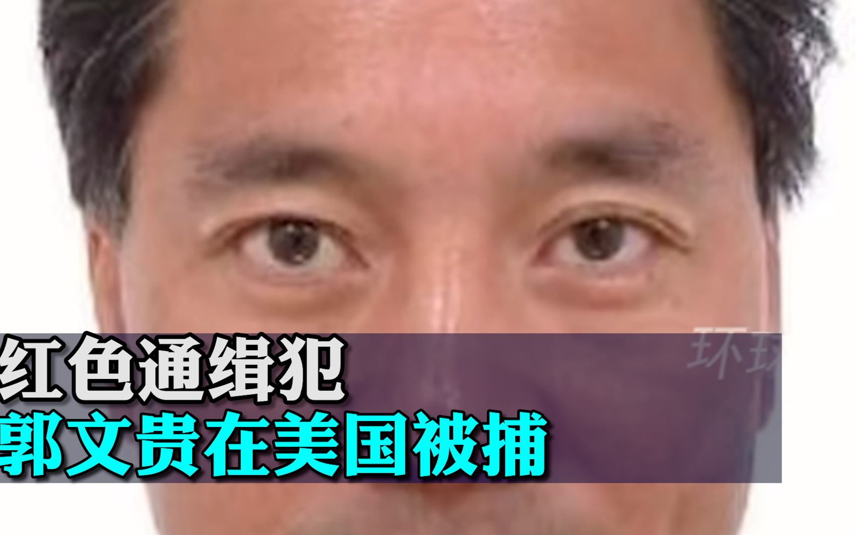 红色通缉犯郭文贵在美国被捕