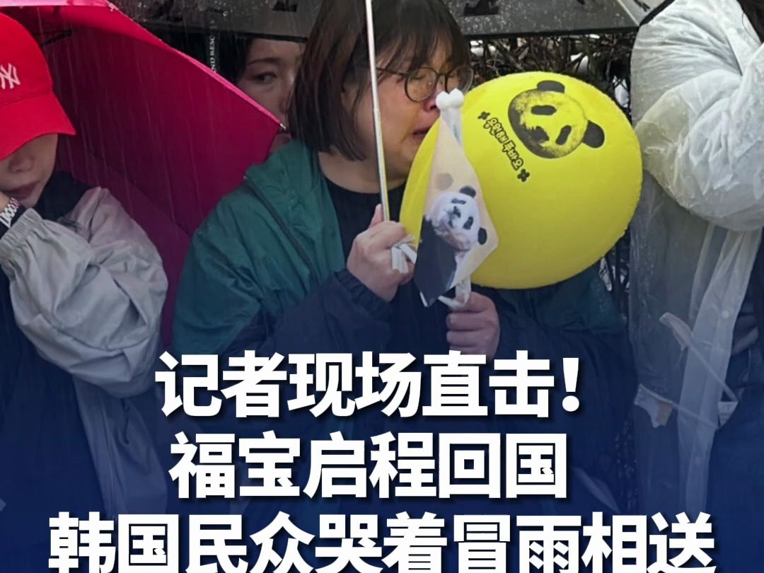 记者现场直击！“福宝”启程回国韩国民众哭着冒雨相送