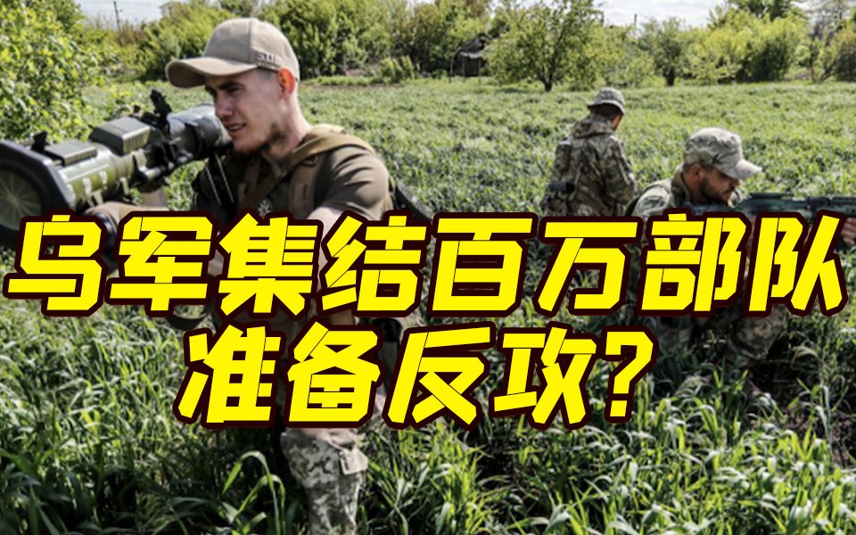 乌克兰国防部长：正在集结百万人部队，“准备反攻并夺回南部”