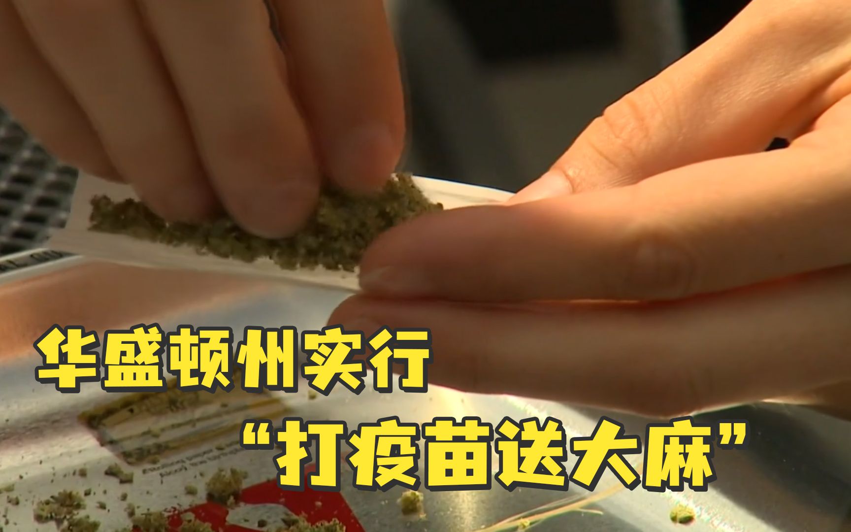 华盛顿州实行“打疫苗送大麻” 白宫：鼓励各州发挥创造力