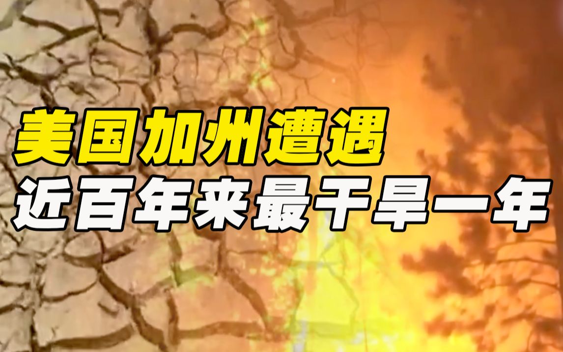 美国加州正经历百年来最干旱的一年！超三分之一人口受到影响