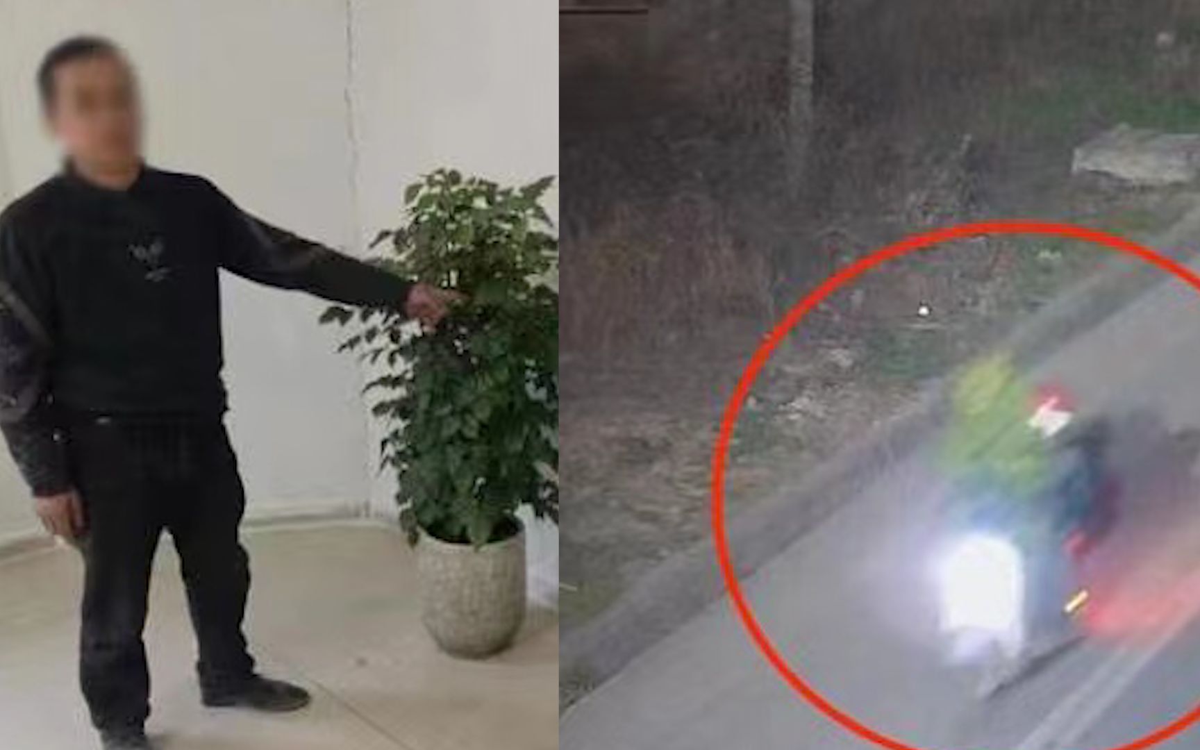 马屁精半夜偷发财树连夜送到老板办公室，被抓