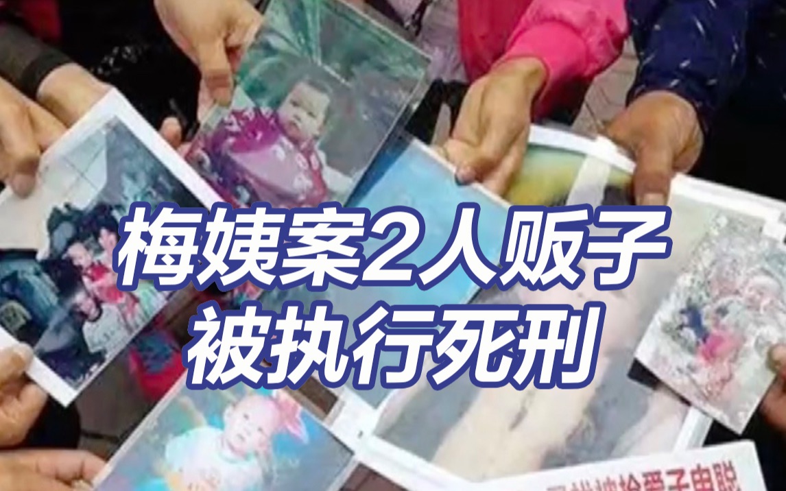 梅姨案2名人贩子被执行死刑