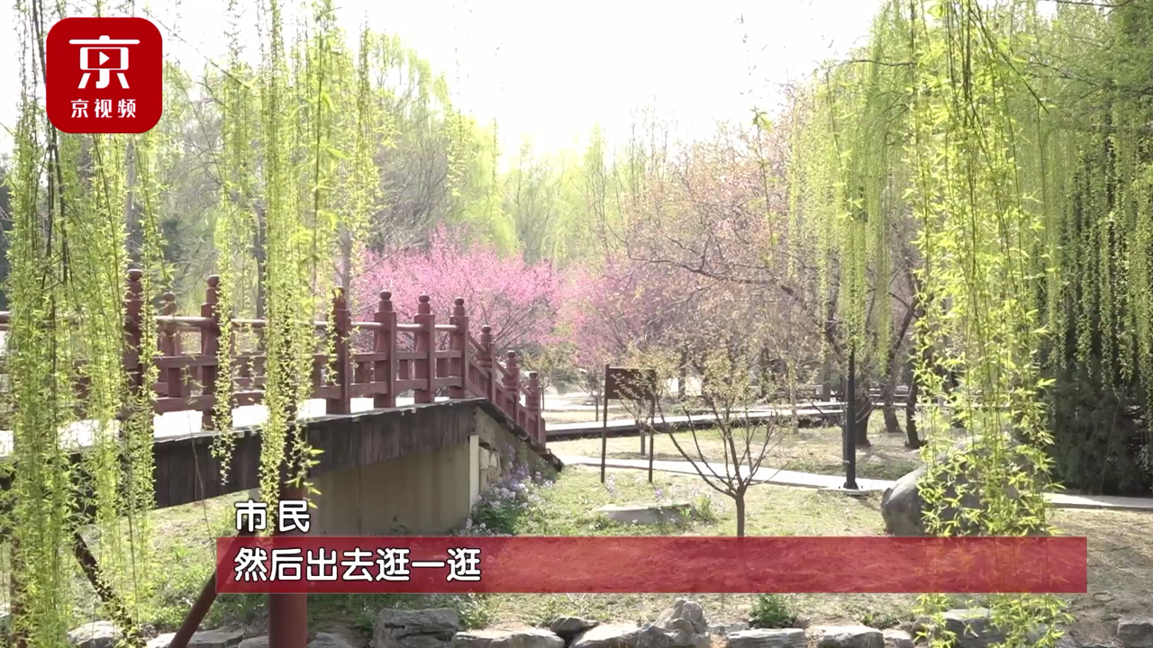 清明节的习俗您还知道哪些呢？来看看大家怎么说！