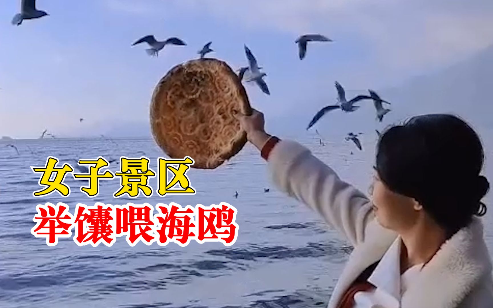 女子景区举馕喂海鸥：喂它们面包不吃，就把家乡特产拿出来尝试