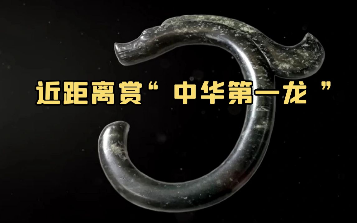 近距离赏“中华第一龙”