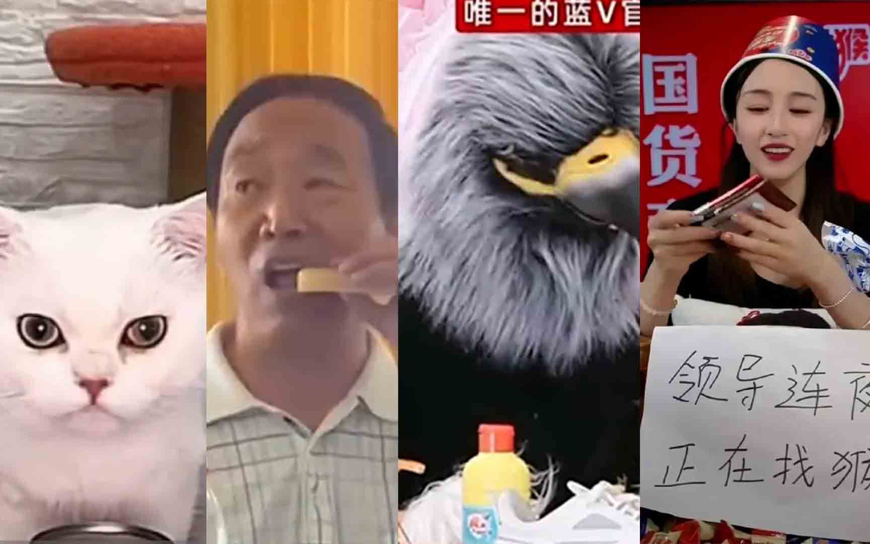 国货直播齐整活：真猫大雕上阵 董事长生吃肥皂 金丝猴连夜找猴