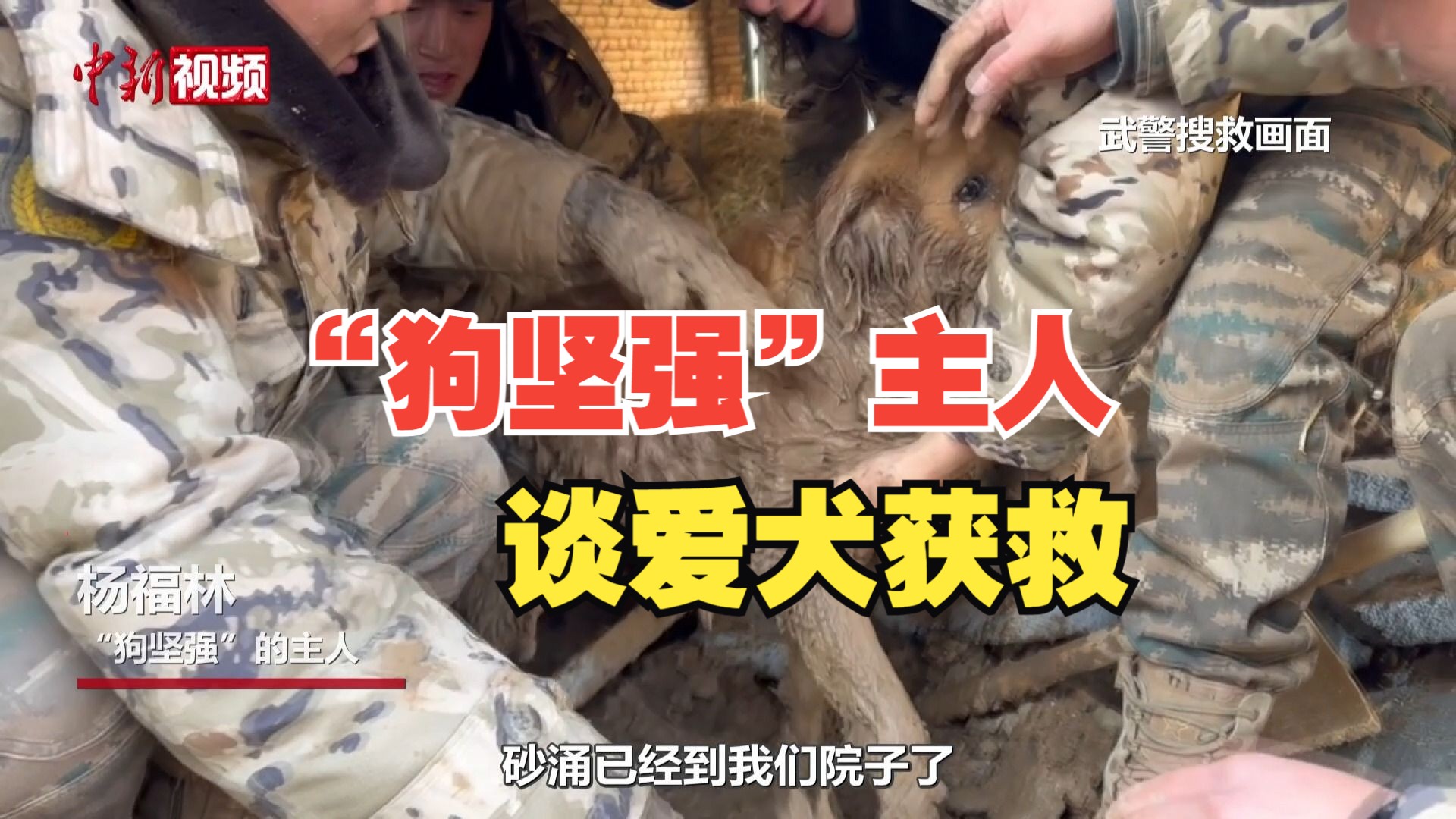 “狗坚强”的主人谈爱犬获救：找到时就好像见到自己的亲人
