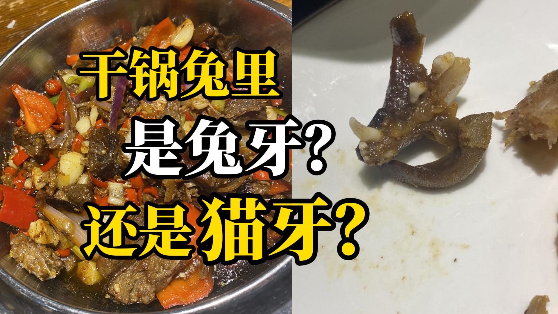 网友称吃干锅兔肉疑似吃出猫牙，商家：是兔子的牙齿，可以去鉴定