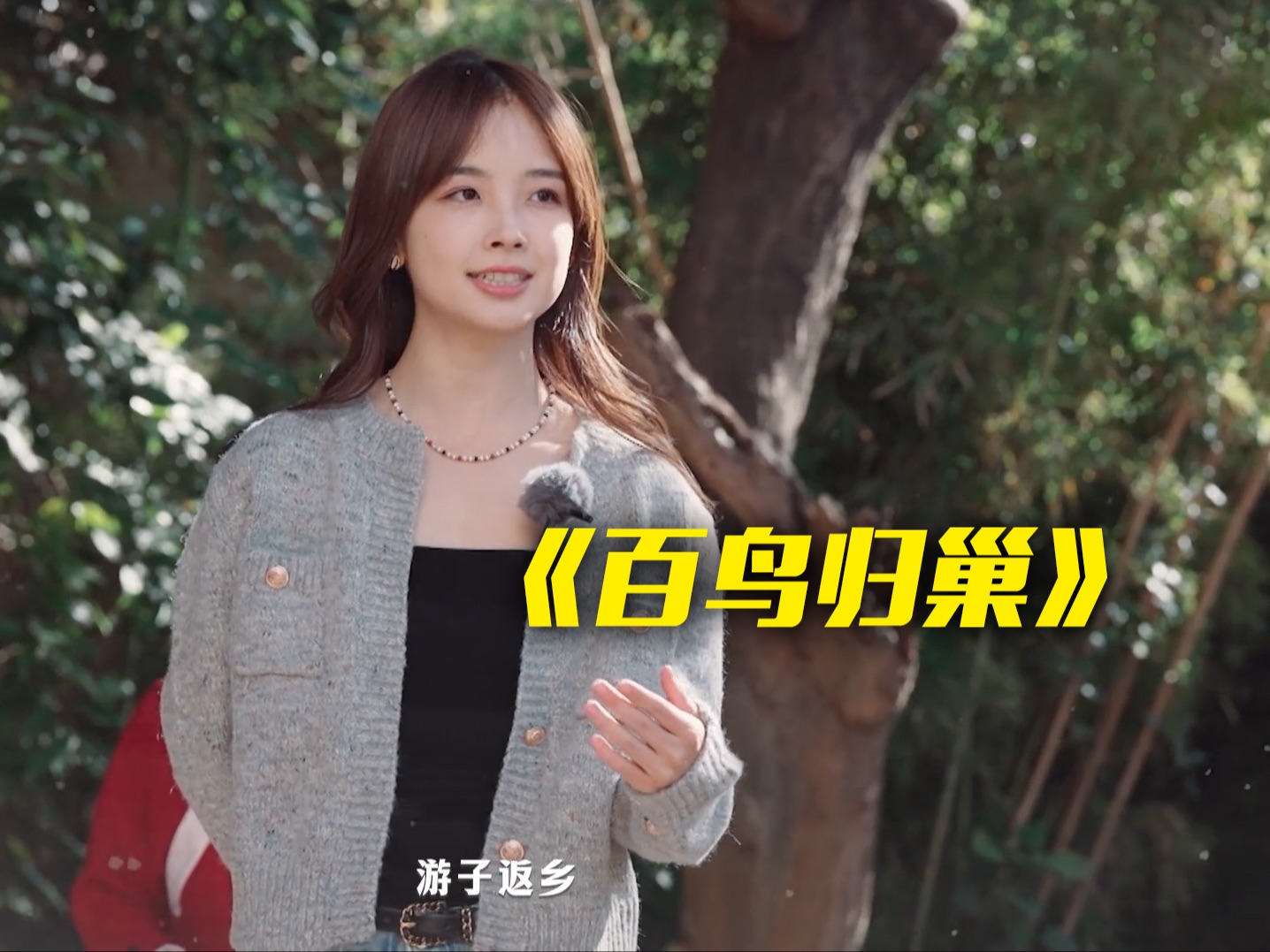 王冰冰任鲁豫合体演出《百鸟归巢》