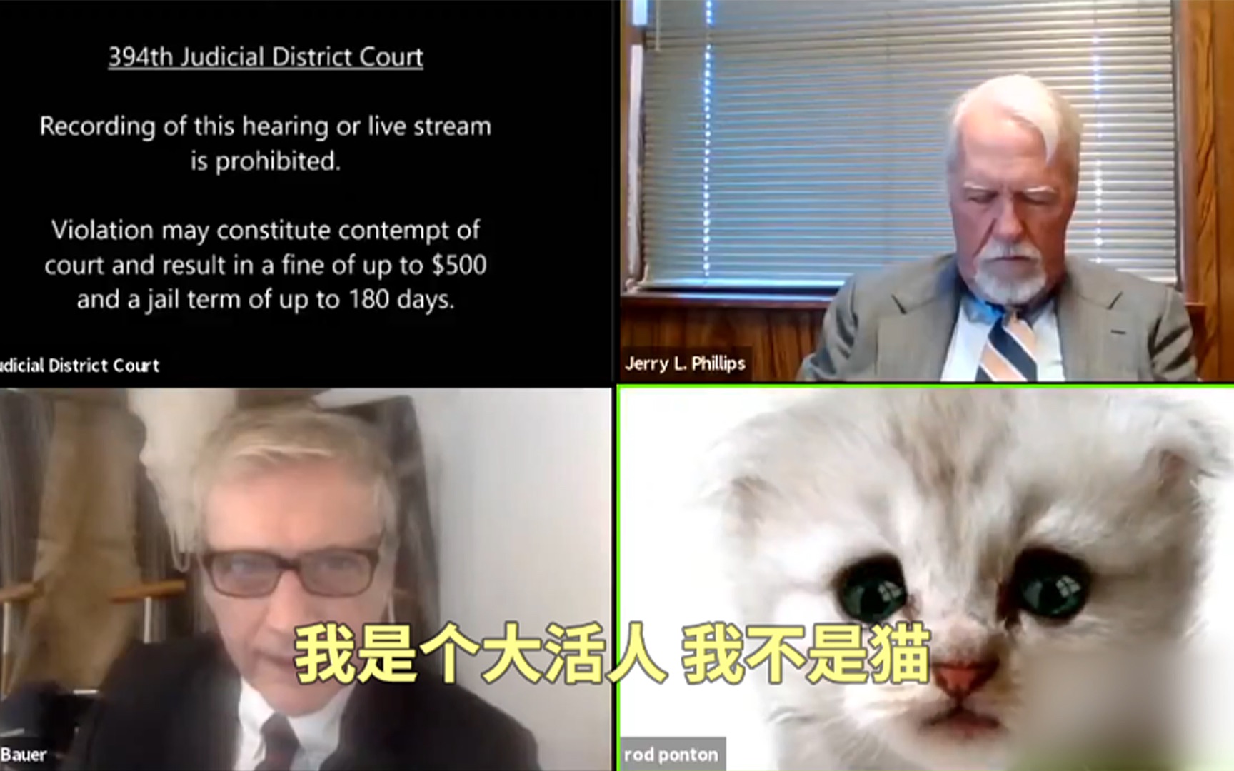 律师顶着猫咪滤镜就出庭了！