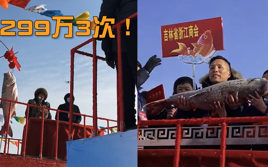 2999999元！吉林查干湖冬捕头鱼拍出天价，再创历史新高