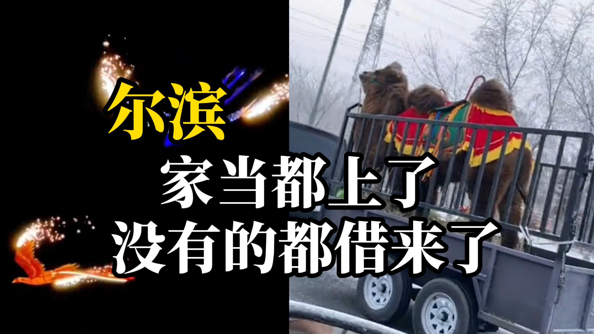 借凤凰借骆驼、借搓澡阿姨？尔滨拿出了老丈人似的热情接待小土豆们