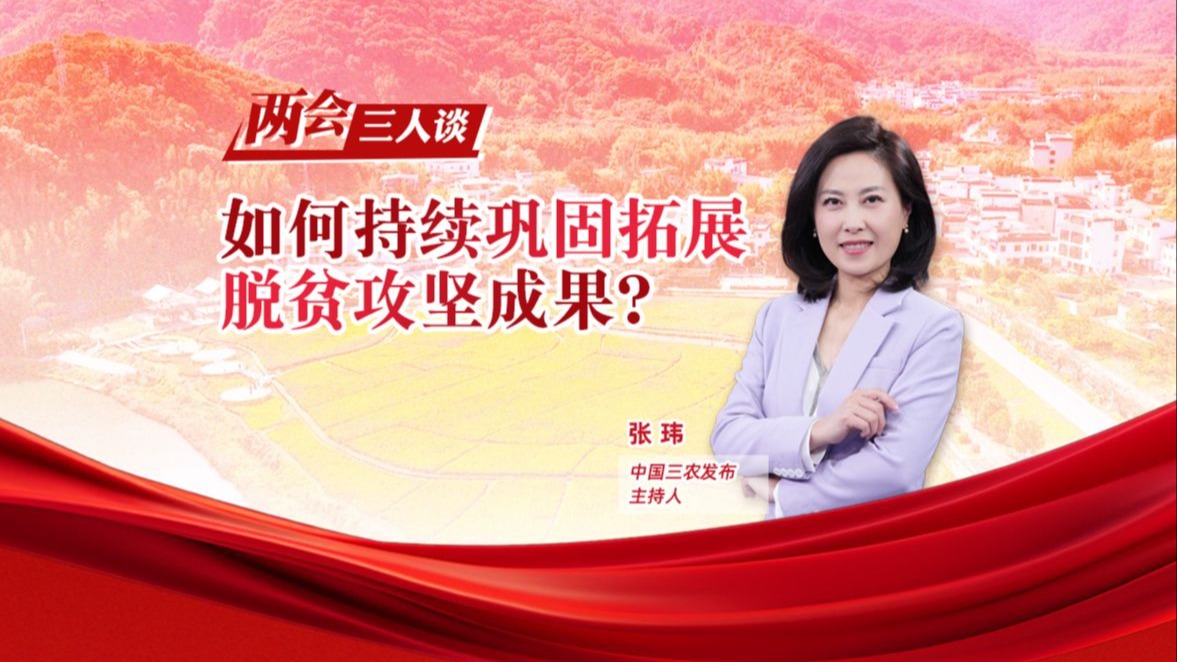 两会三人谈丨如何持续巩固拓展脱贫攻坚成果？