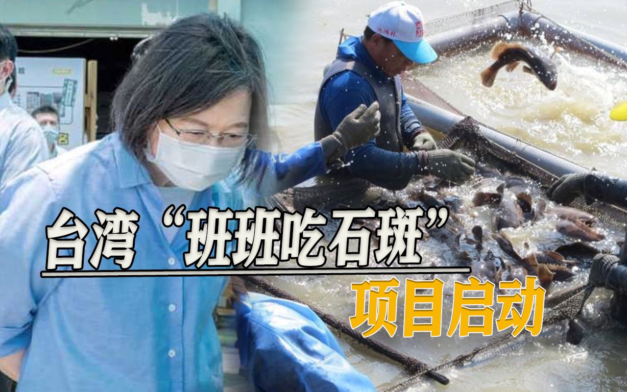 石斑鱼卖不出去，台当局打起学校主意，遭岛内怒呛：残害学生