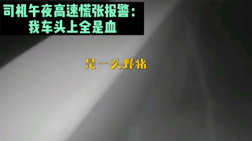 司机午夜高速慌张报警：我不知道我撞了什么，我车头上全是血