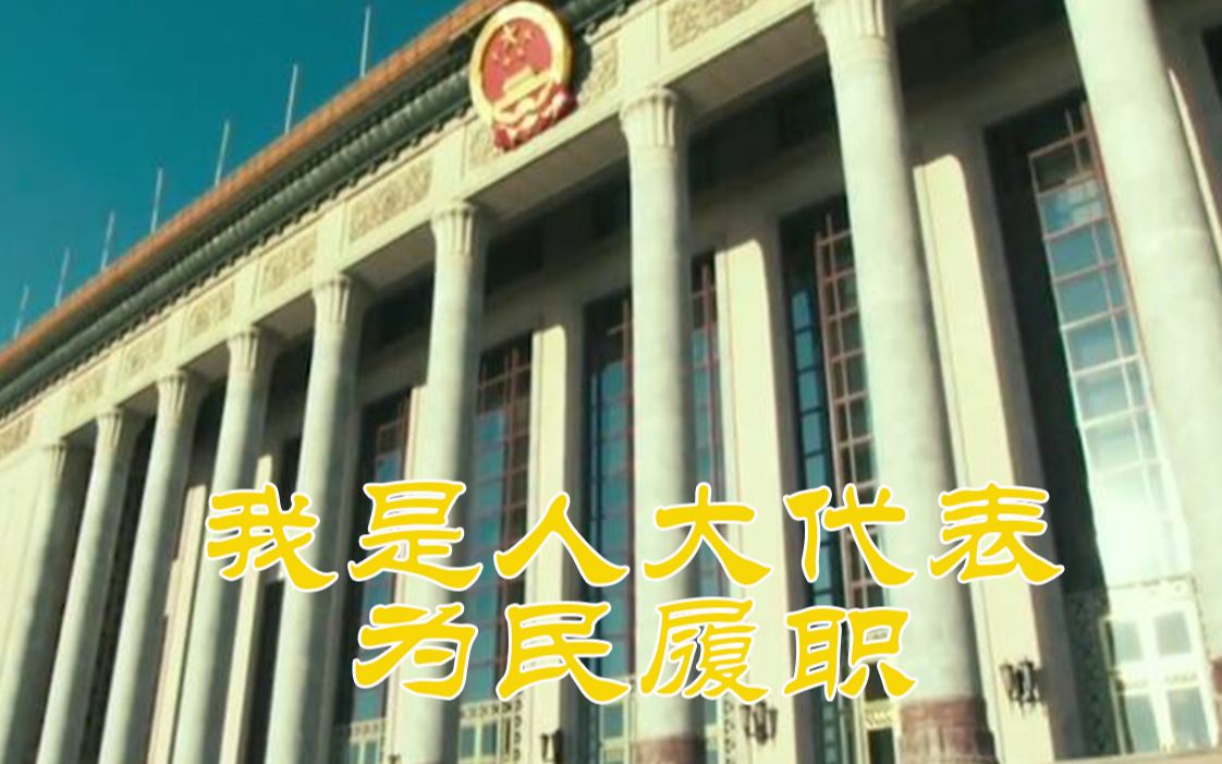 2020两会：我是人大代表 为民履职
