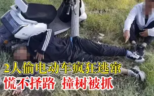 2人偷电动车疯狂逃窜撞树被抓，民警到现场时2人正躺在树边