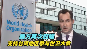 何为“有意义”参与？美方再次鼓噪支持台湾地区参与世卫大会