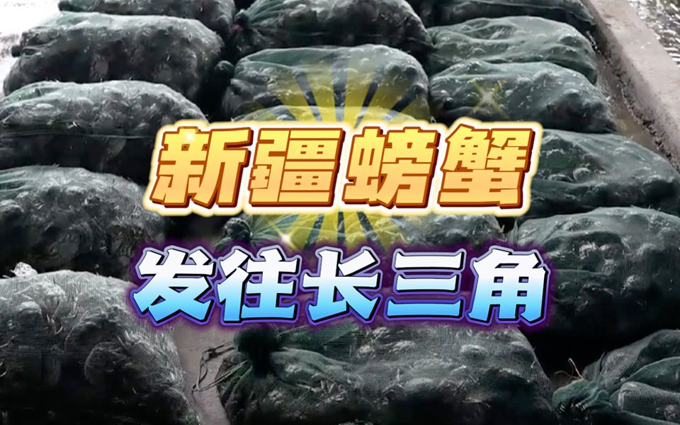 新疆螃蟹发货！首批3.5吨将销往长三角 三文鱼也快了！