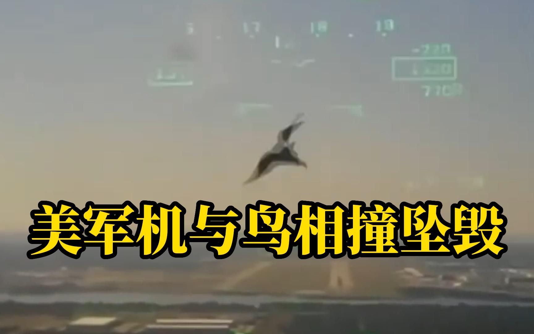 美军机与鸟相撞，飞行员操作无果后坠入居民区