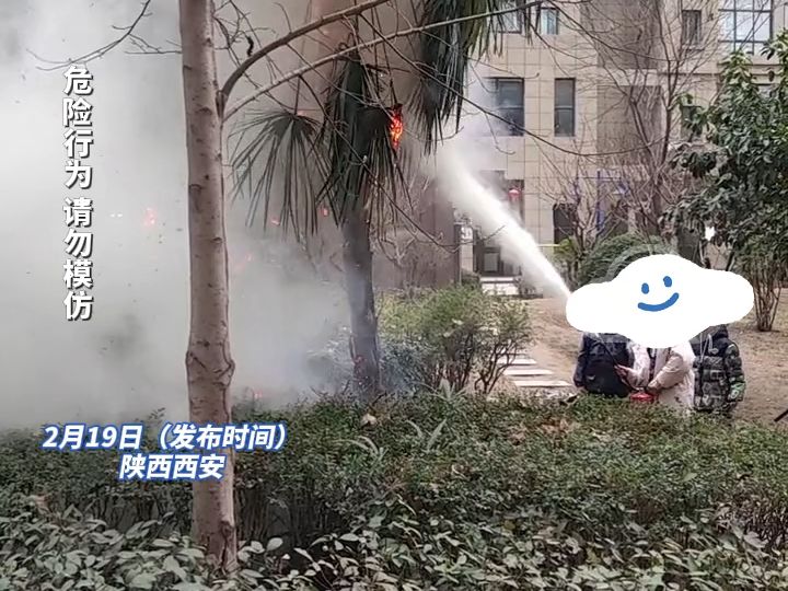 熊孩子玩火将小区棕榈树点燃 好在孩子反应快在楼道找到了灭火器，最后火被成功扑灭#消防安全 #社会百态
