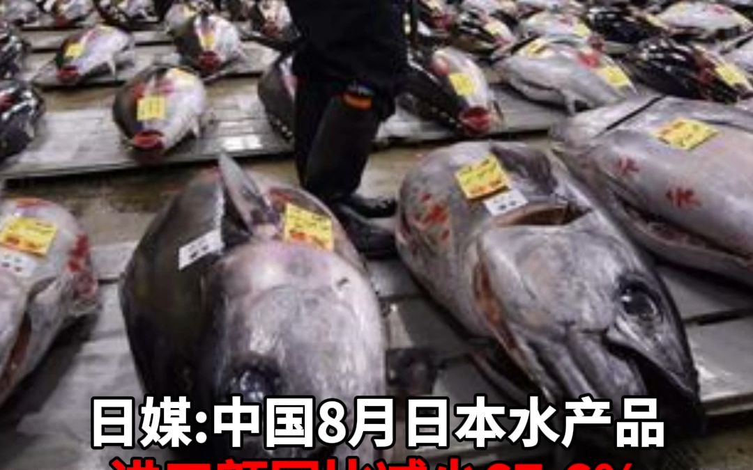 日媒：中国8月日本水产品进口额 同比减少67.6% 日本渔业受打击