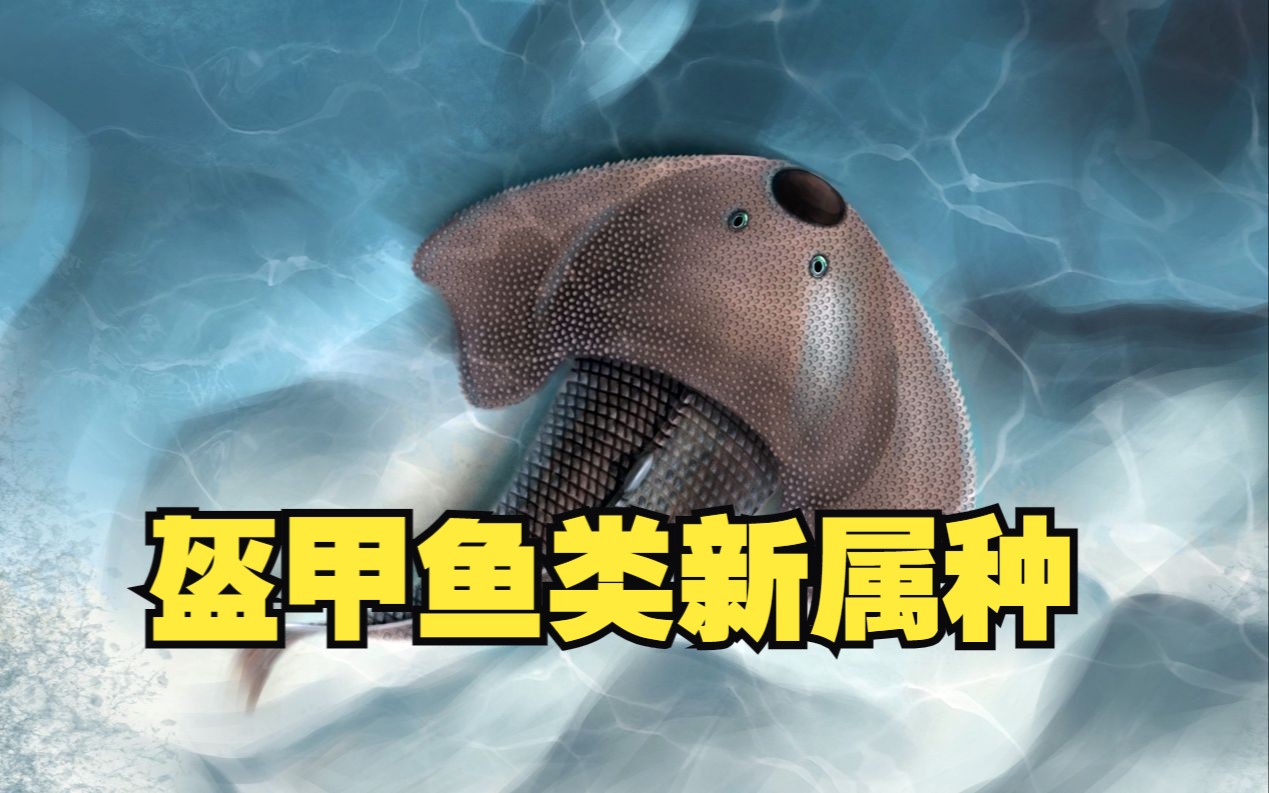 湖南张家界发现4.38亿年前盔甲鱼类新属种